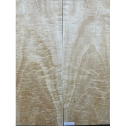 Figured Poplar | Back & Sides for Guitar
