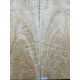 Figured Poplar | Back & Sides for Guitar