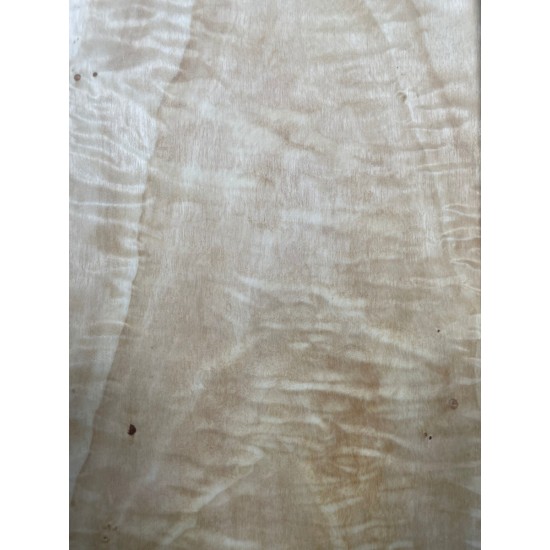 Figured Poplar | Back & Sides for Guitar