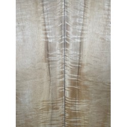 Figured Poplar | Back & Sides for Guitar