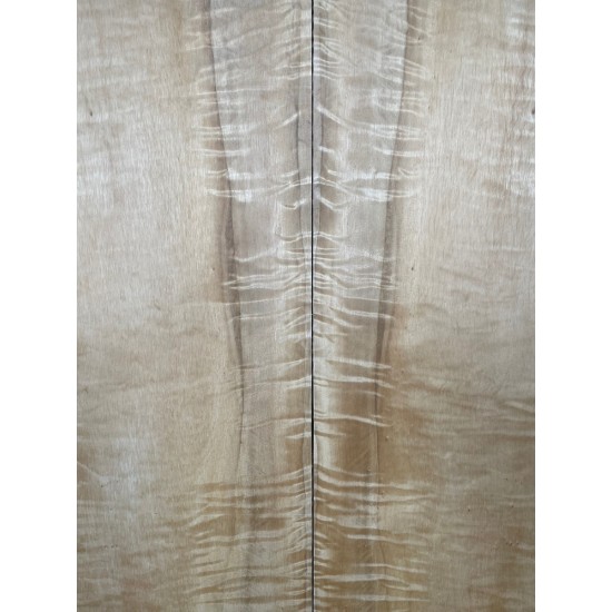 Figured Poplar | Back & Sides for Guitar