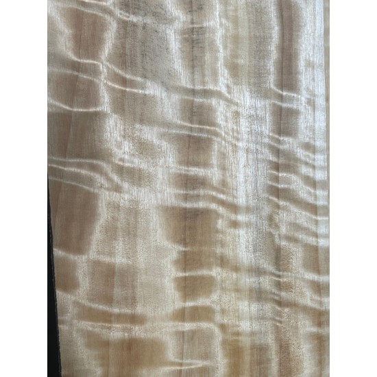Figured Poplar | Back & Sides for Guitar