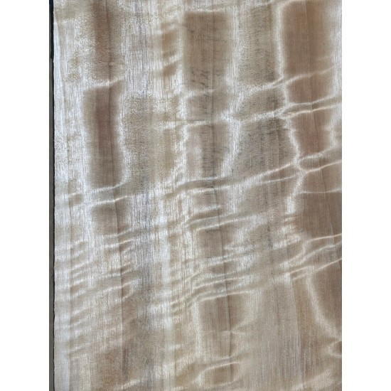 Figured Poplar | Back & Sides for Guitar