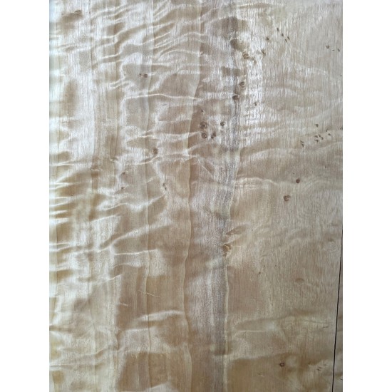 Figured Poplar | Back & Sides for Guitar
