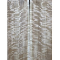 Figured Poplar | Back & Sides for Guitar