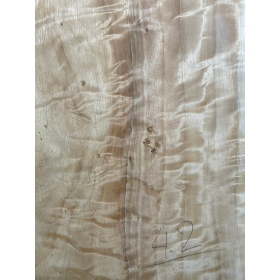 Figured Poplar | Back & Sides for Guitar