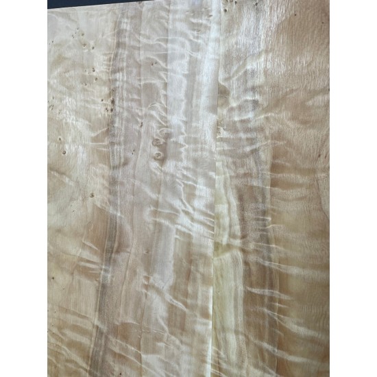Figured Poplar | Back & Sides for Guitar
