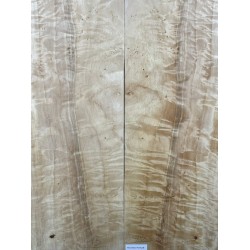 Figured Poplar | Back & Sides for Guitar