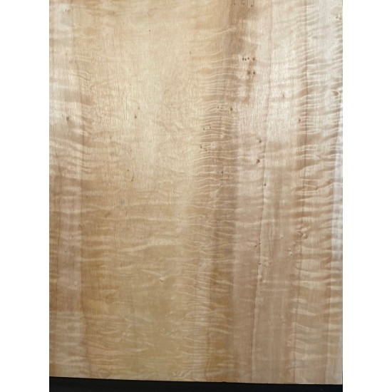 Figured Poplar