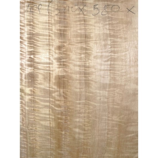 Figured Poplar