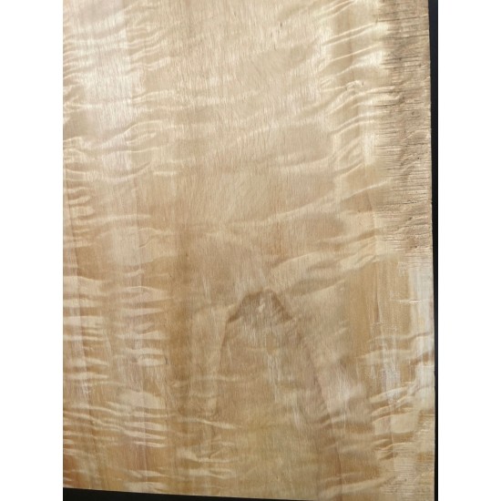 Figured Poplar
