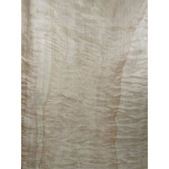 Figured Poplar