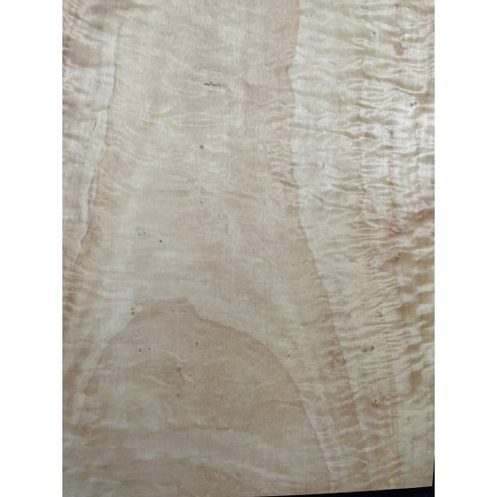 Figured Poplar