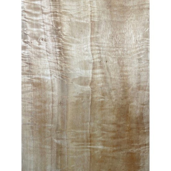 Figured Poplar