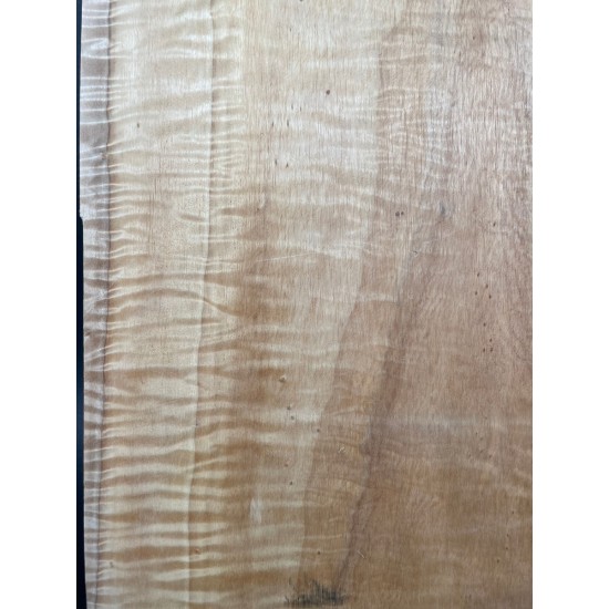 Figured Poplar