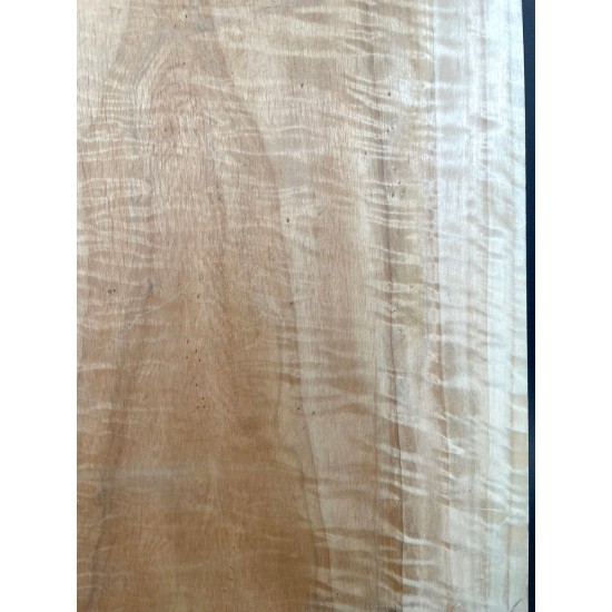 Figured Poplar