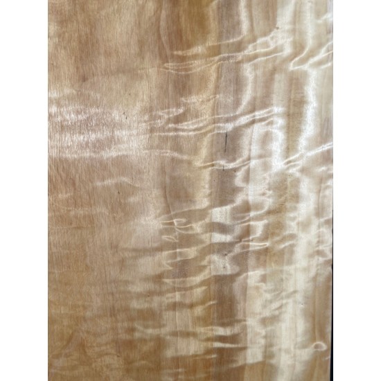 Figured Poplar