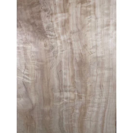Figured Poplar