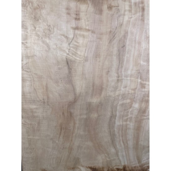 Figured Poplar