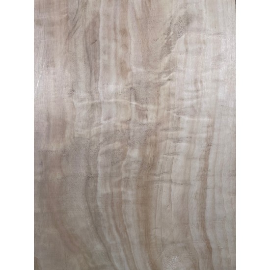 Figured Poplar
