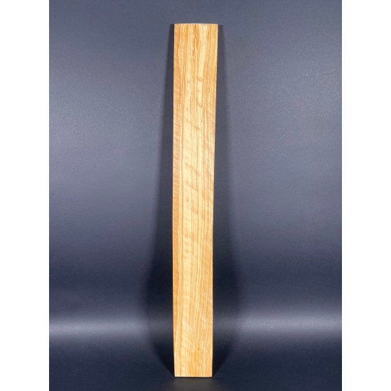 Olive Fingerboard | Electric guitar