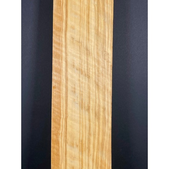 Olive Fingerboard | Electric guitar