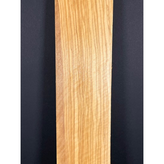 Olive Fingerboard | Electric guitar