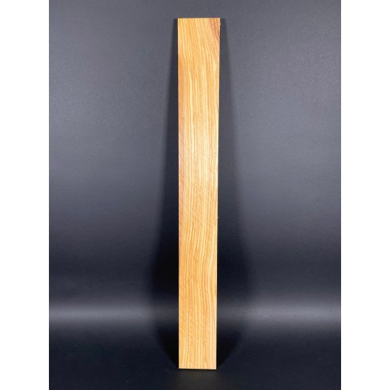 Olive Fingerboard | Electric guitar