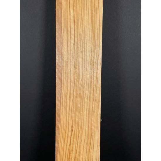 Olive Fingerboard | Electric guitar