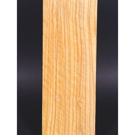 Olive Fingerboard | Electric guitar