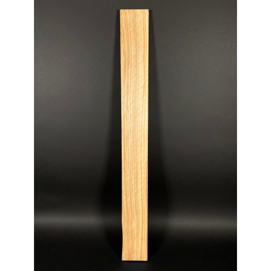 Olive Fingerboard | Electric guitar