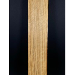 Olive Fingerboard | Electric guitar