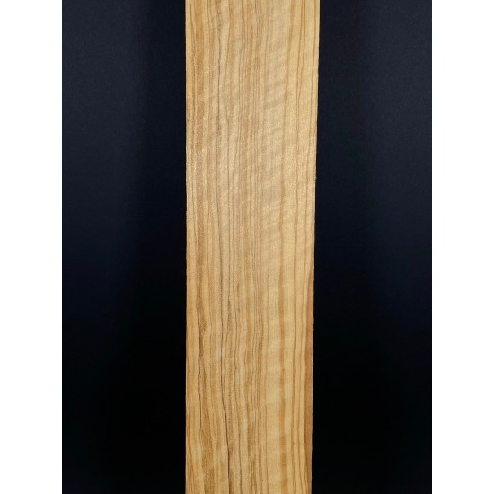 Olive Fingerboard | Electric guitar