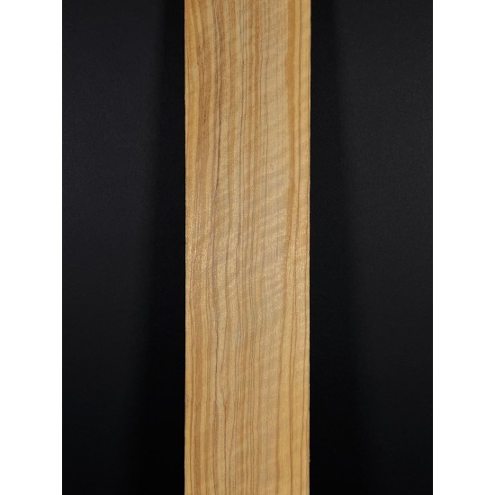 Olive Fingerboard | Electric guitar
