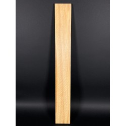 Olive Fingerboard | Electric guitar