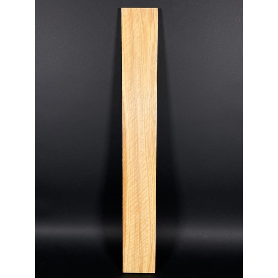 Olive Fingerboard | Electric guitar