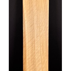 Olive Fingerboard | Electric guitar