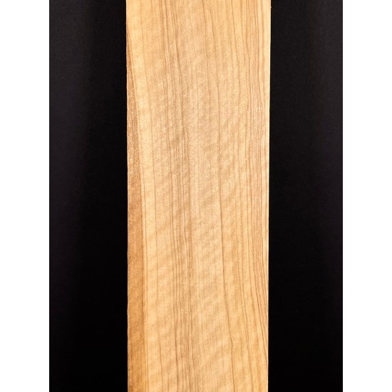 Olive Fingerboard | Electric guitar