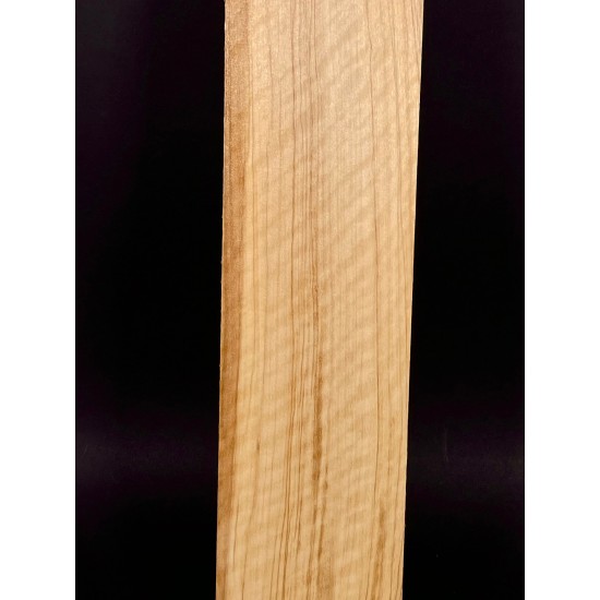Olive Fingerboard | Electric guitar