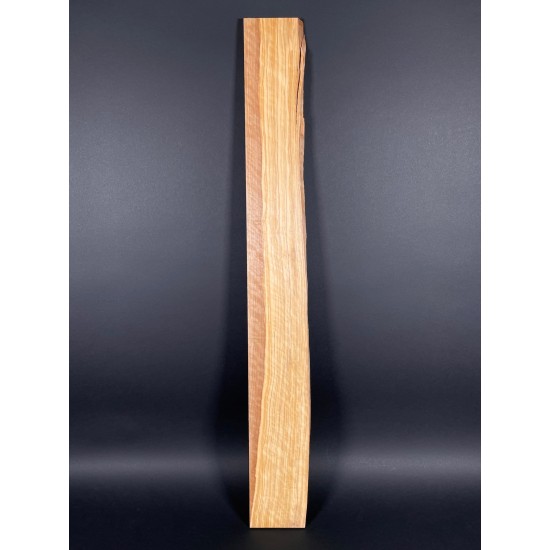 Olive Fingerboard | Electric guitar
