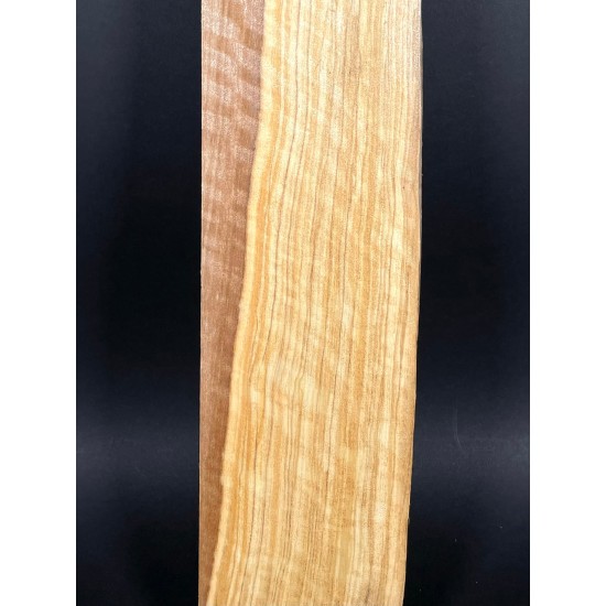 Olive Fingerboard | Electric guitar