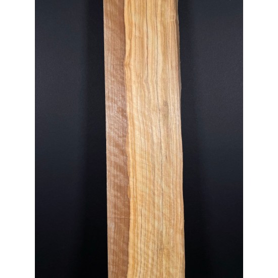 Olive Fingerboard | Electric guitar