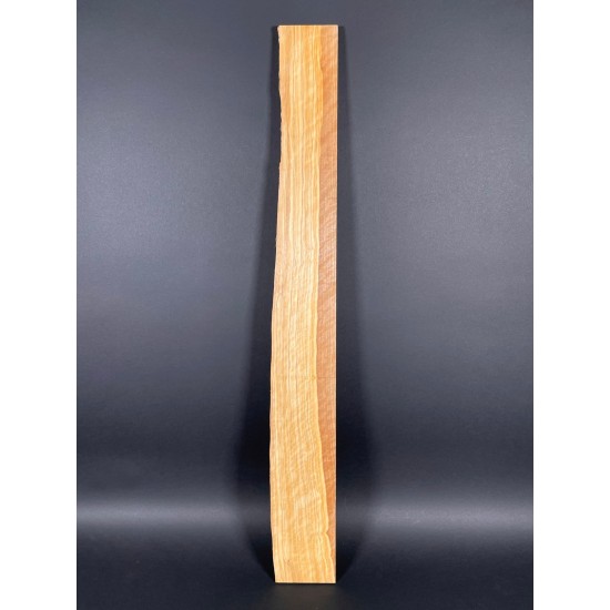 Olive Fingerboard | Electric guitar