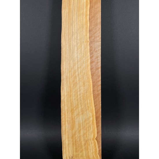 Olive Fingerboard | Electric guitar