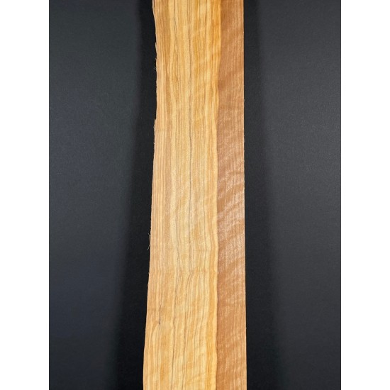 Olive Fingerboard | Electric guitar