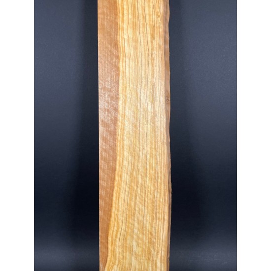 Olive Fingerboard | Electric guitar