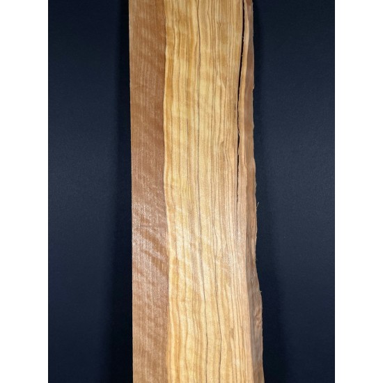 Olive Fingerboard | Electric guitar