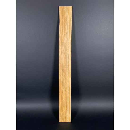 Olive Fingerboard | Electric guitar