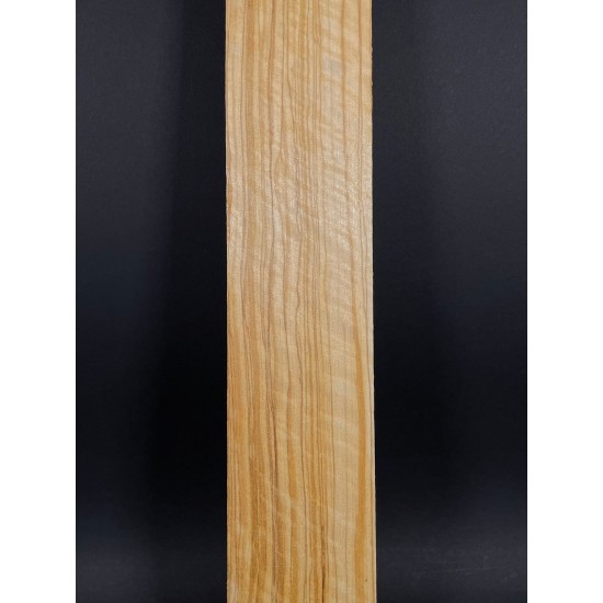 Olive Fingerboard | Electric guitar