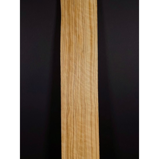 Olive Fingerboard | Electric guitar